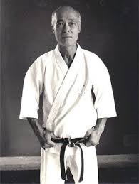 Image result for Independent Wadoryu Karate Federation