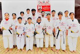 Image result for Dragon Martial Arts Association