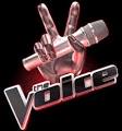 NBC THE VOICE Audience Tickets|NBC THE VOICE Fan