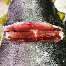 Image result for Thunnus maccoyii