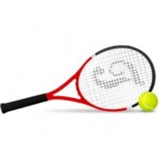 Image result for Markland Hill Ltc Badminton Club