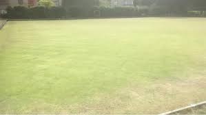 Image result for Cambridge & County Bowling Club