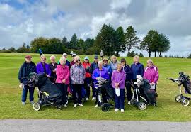 Image result for Carmarthen Golf Club