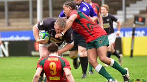 Image result for Widden Old Boys Rfc