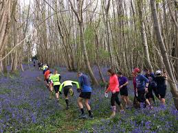 Image result for Tunbridge Wells Harriers