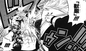 「フクロウ ONE PIECE」の画像検索結果