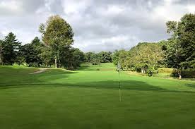 Image result for Chelmsford Gc