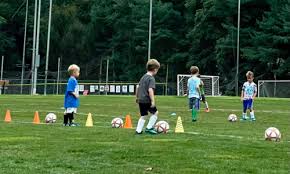 Image result for Netherne Community Amateur Sports Club