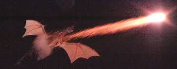 Image result for HAINAULT & CHIGWELL CHANGQUAN FLYING DRAGON