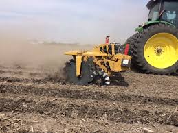 Image result for selvatici tehron