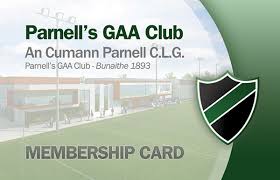 Image result for Parnells Gaelic Football Club
