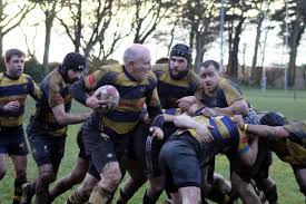Image result for Annan Rugby Football Club