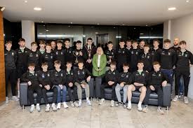 Image result for Causeway Hurling Club