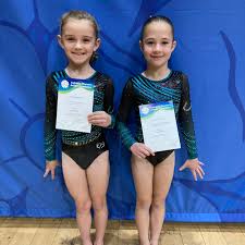 Image result for City Of Hull Olympic Gymnastics Club