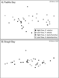 Image result for Parophrys vetulus