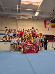 Image result for Tessaro Gymnastics Club