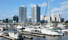 Image result for stamford cc