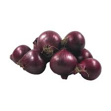 Image result for Zwiebeln