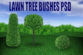 Lawn Tree and Bushes PSD by ~dbszabo1 on deviantART - Lawn_Tree_and_Bushes_PSD_by_dbszabo1