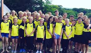 Image result for Poole Swimming Club