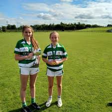 Image result for Sarsfield Gfc