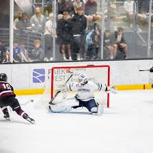 Image result for West Coast Wasps Skater Hockey Club