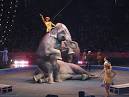Ringling Bros And Barnum and Bailey Circus Tickets | Ringling Bros ...