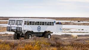 Image result for tundra buggy