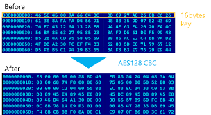 Image result for %82%E4%82%C1%82%AD%82%E8%82%B5%82%C4%82%A2%82%C1%82%C4%82%CB