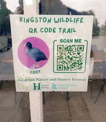 Image result for Minima Yacht Club