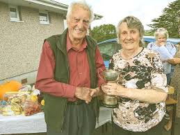 Image result for Luxulyan Smbc