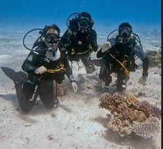 Image result for Richmond Sub-Aqua Club