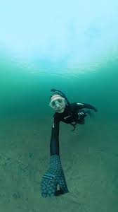 Image result for Apneists UK