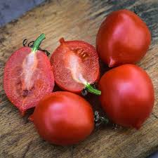 Afbeeldingsresultaat voor principe borghese tomato