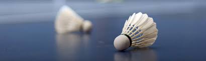 Image result for Madeley Badminton Club