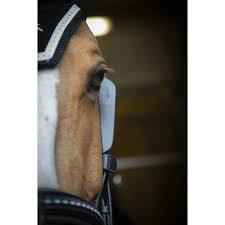 Image result for scheuklappen