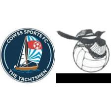 Image result for Cowes Sports Football Club