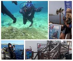 Image result for Abyss Dive Club