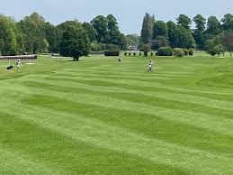 Image result for Sandown Sports Club