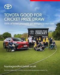 Image result for Salfords Cricket Club