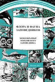 Attēlu rezultāti vaicājumam “Serpoleskea subtilis sporophyte”