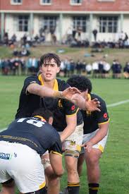 Image result for Wellington Rugby Football Club Limited
