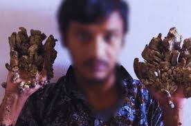 Image result for Lewandowsky-Lutz