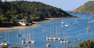 Image result for Salcombe Yacht Club
