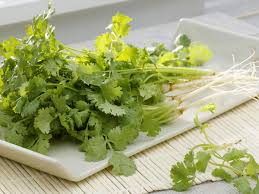 Image result for Koriander