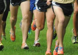 Image result for Bearbrook Joggers, Aylesbury