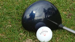 Image result for Arscott Golf Club