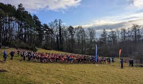 Image result for Westerlands Cross Country Club