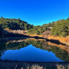 Image result for Arnoldfield Bowls Club