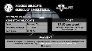 Image result for Kingston Wildcats Basketball Club